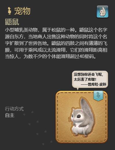 ff14鼯鼠宠物获得方法(图3) ff14鼯鼠宠物获得方法(图3)