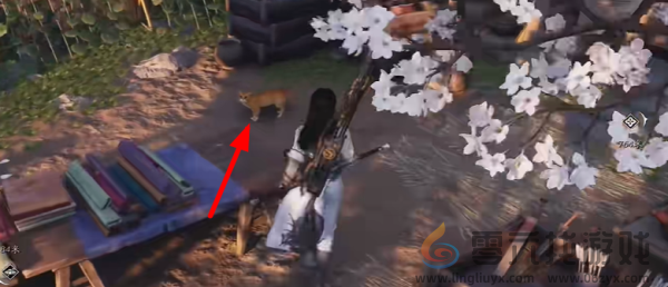 燕云十六声猫猫两撮毛在哪(图5) 燕云十六声猫猫两撮毛在哪(图5)