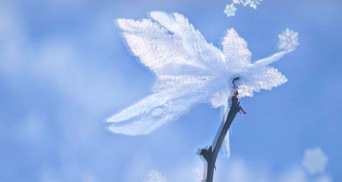 大雪文案大全(图2) 大雪文案大全(图2)