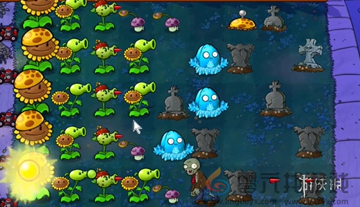 植物大战僵尸杂交版前院告急第八关怎么过(图6) 植物大战僵尸杂交版前院告急第八关怎么过(图6)