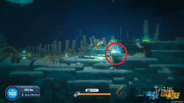 潜水员戴夫第三章怎么过(图5) 潜水员戴夫第三章怎么过(图5)