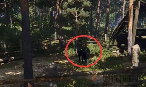 天国拯救2深山隐士支线任务攻略分享(图8) 天国拯救2深山隐士支线任务攻略分享(图8)