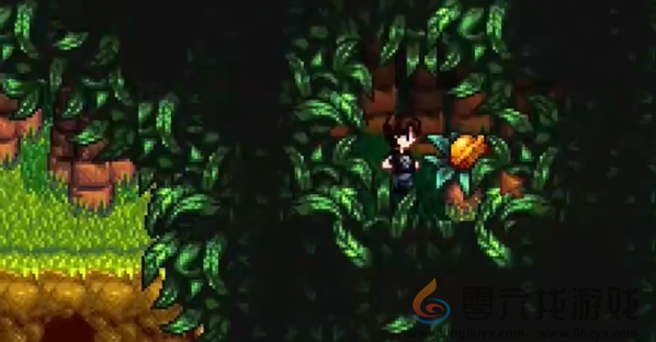 星露谷物语姜岛北部金核桃在哪(图12) 星露谷物语姜岛北部金核桃在哪(图12)